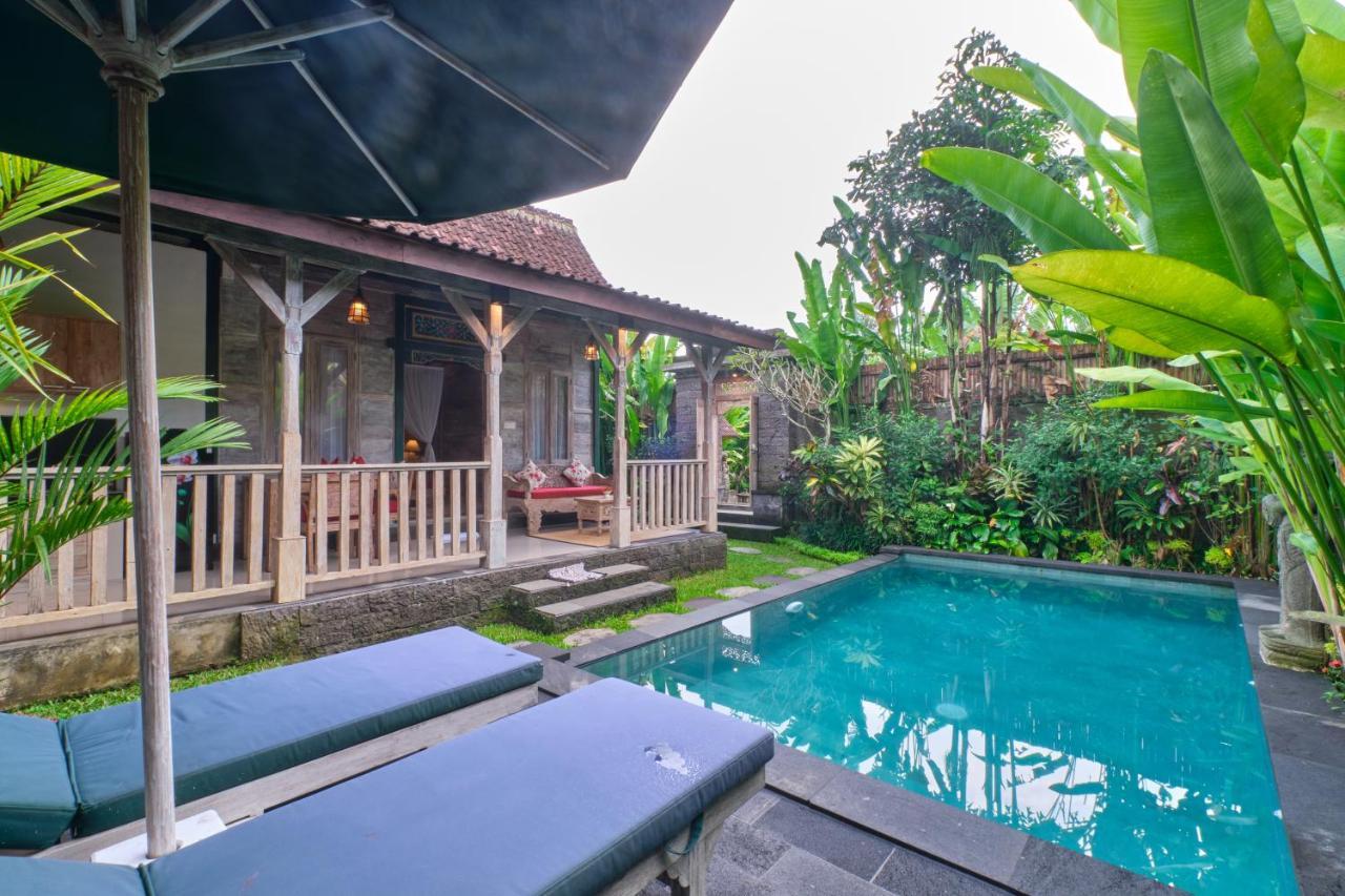 Villa Kumala أوبود المظهر الخارجي الصورة